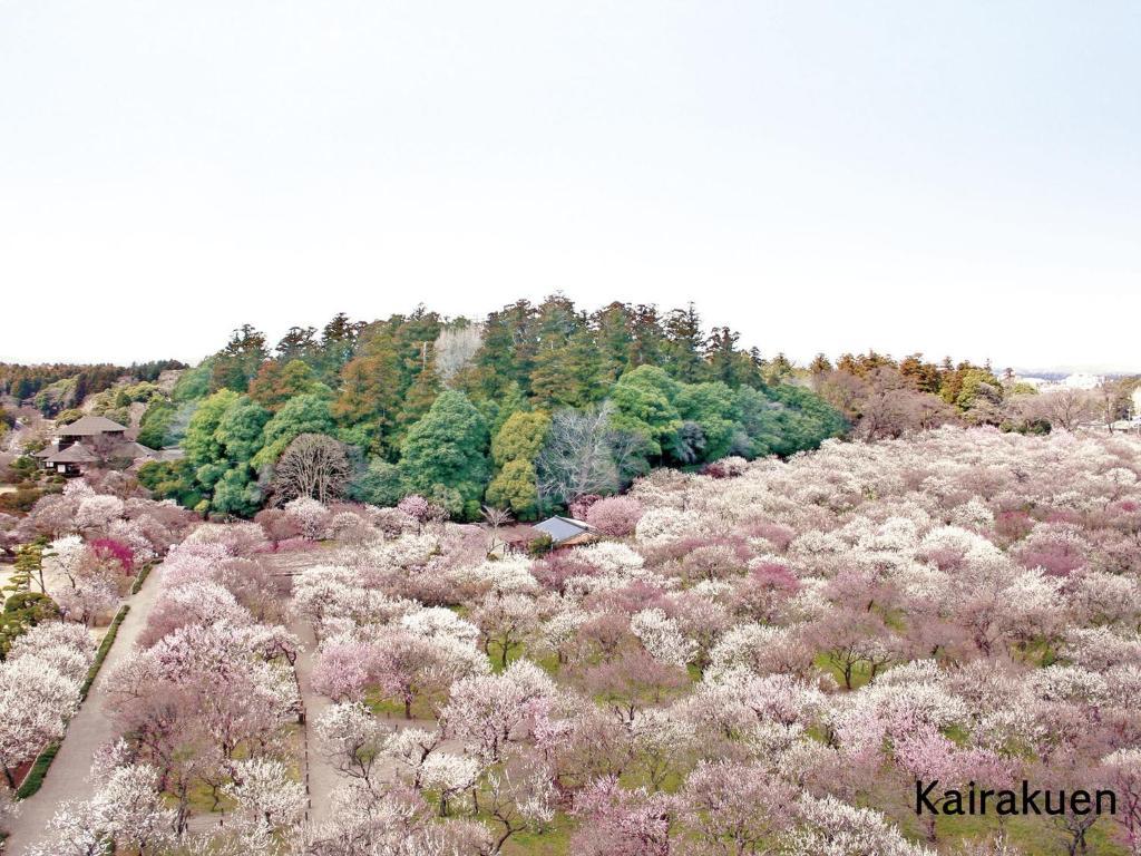 Mito Keisei Hotel المظهر الخارجي الصورة